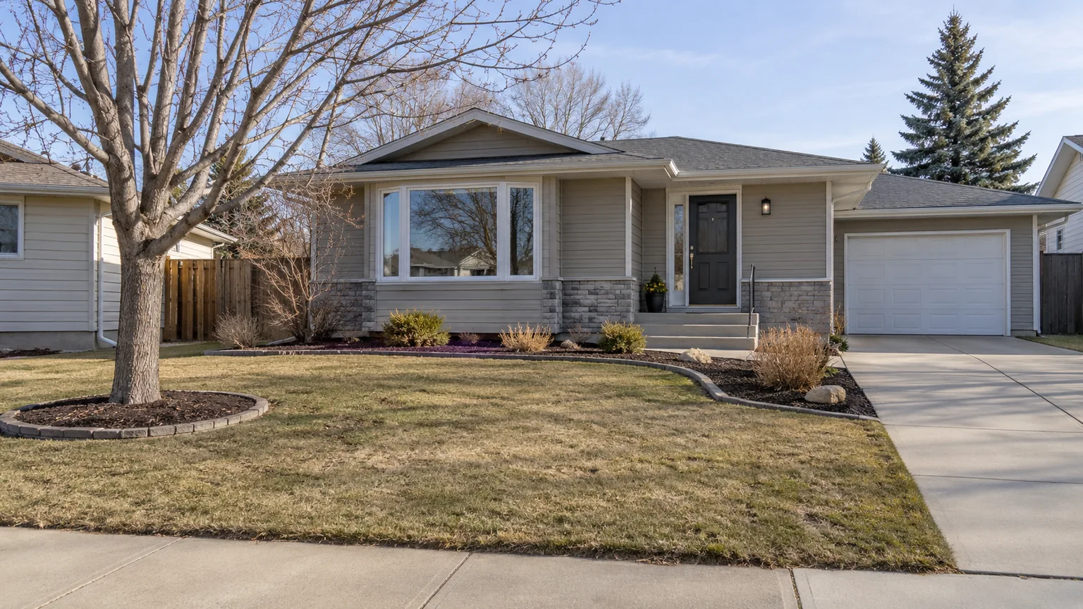 A tidy spring yard with dormant grass, bare birch trees and cleanup tools beside the garden beds.